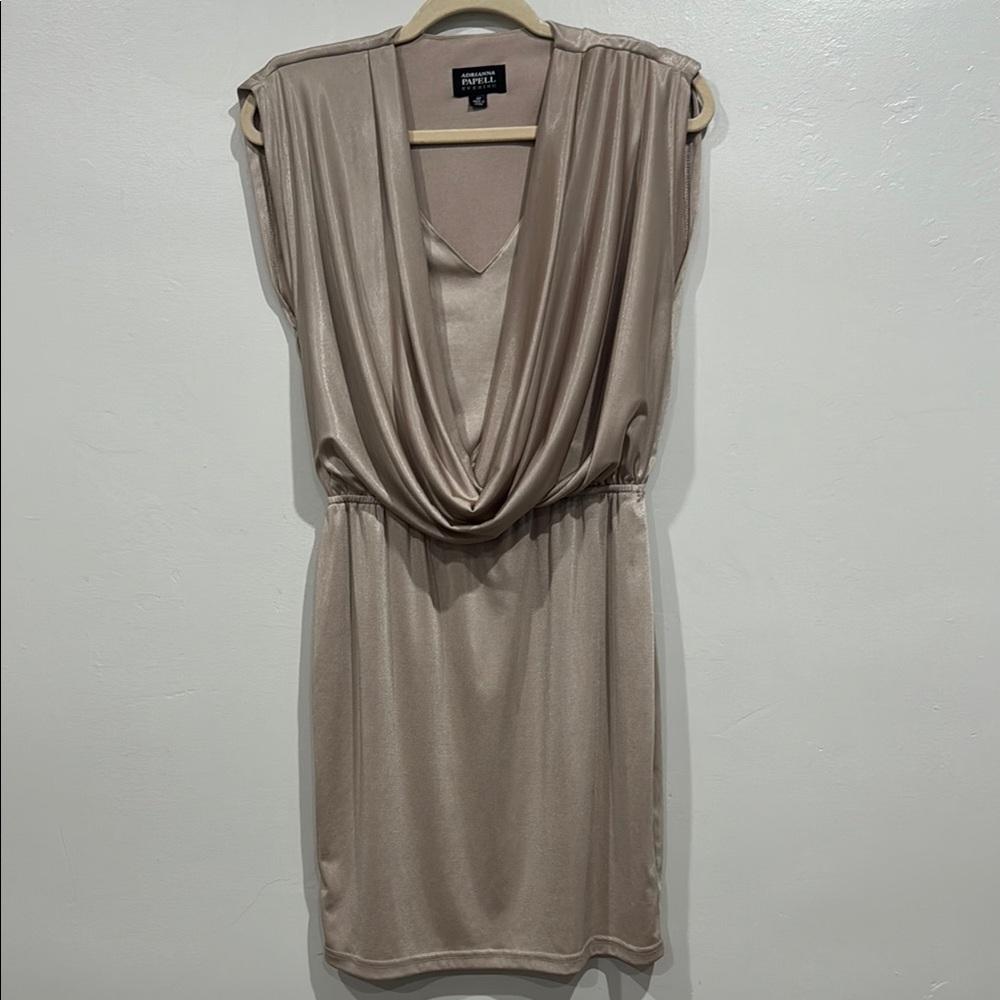 Adrianna Papell Evening Sheath Mini Dress Cowl Neck Dress
